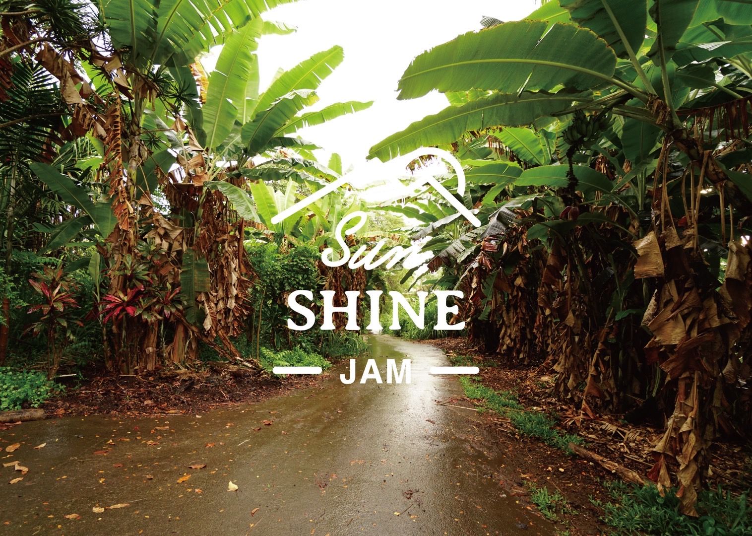 SUNSHINEJAM 14